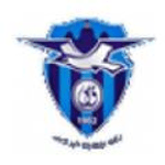 Bur Fouad