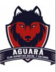 CDSC Aguara